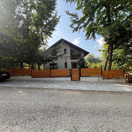 Casa De Vacanta Mogosa Baia Sprie Exterior foto