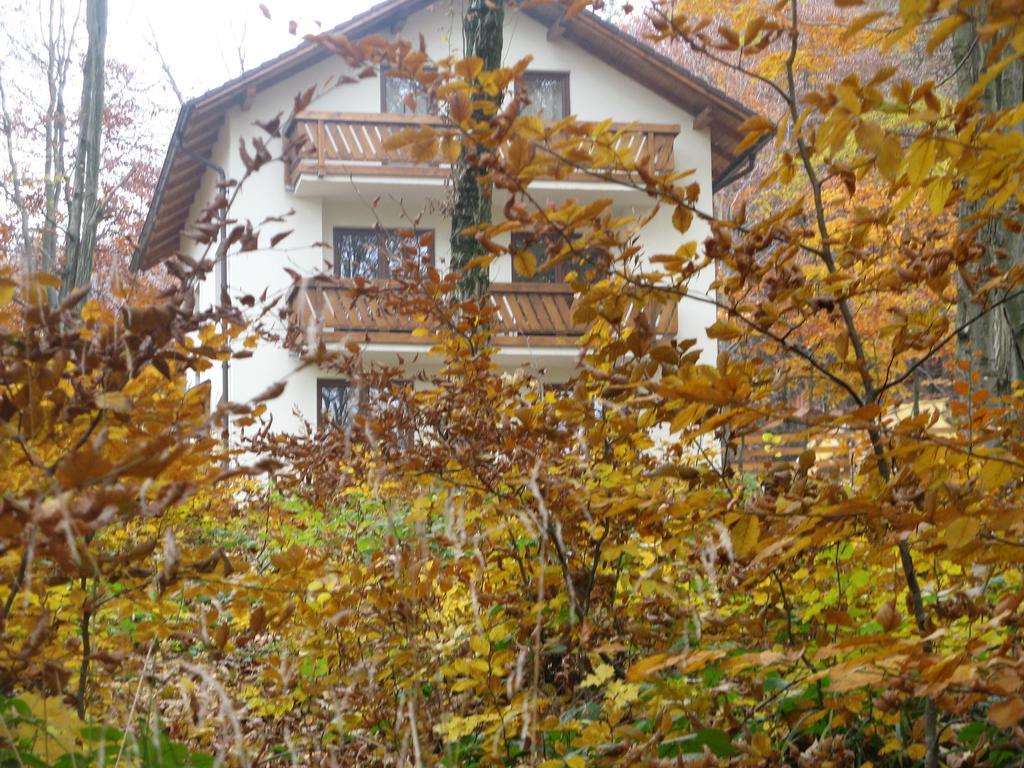 Casa De Vacanta Mogosa Baia Sprie Exterior foto
