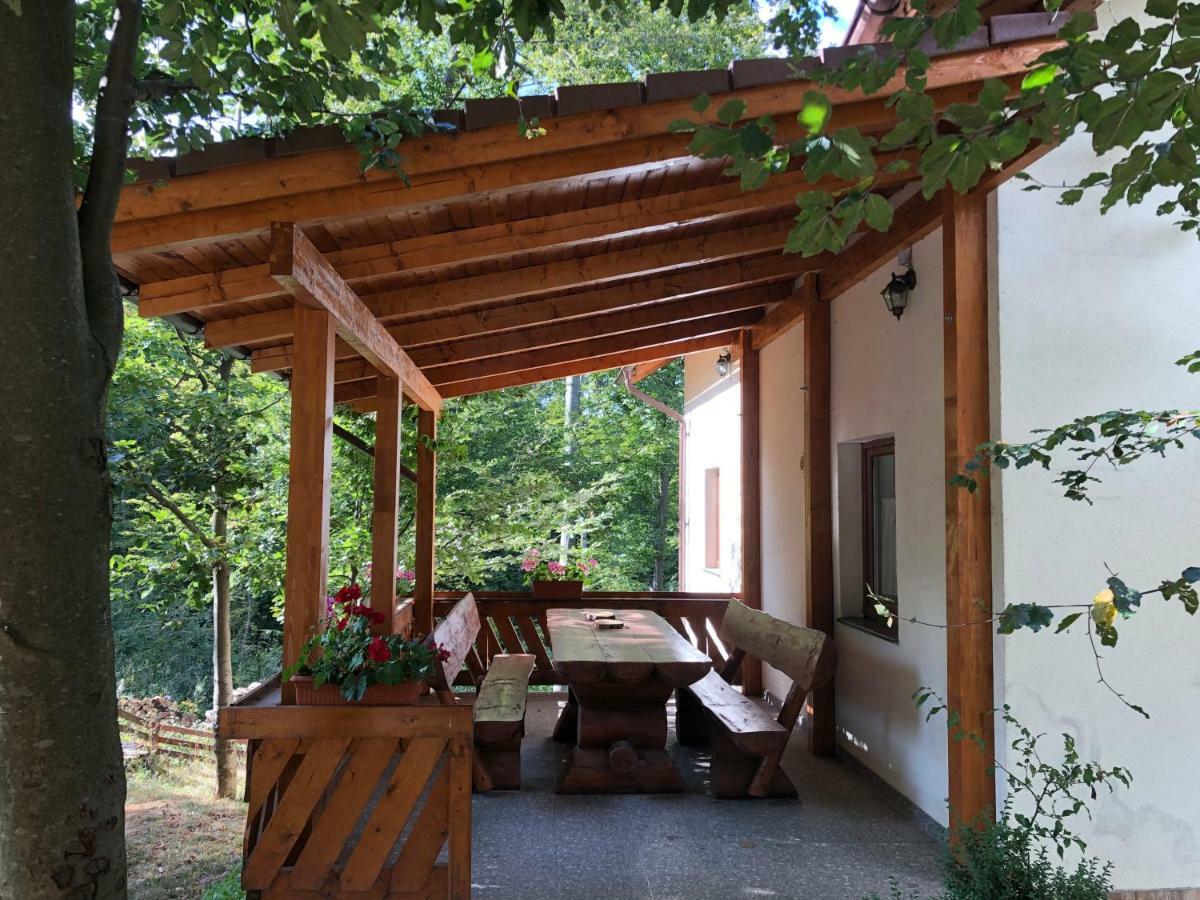 Casa De Vacanta Mogosa Baia Sprie Exterior foto